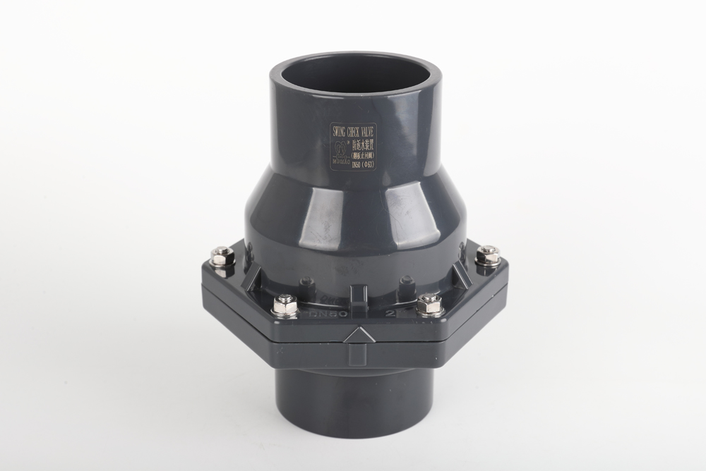 杭锦后翻板式止回阀